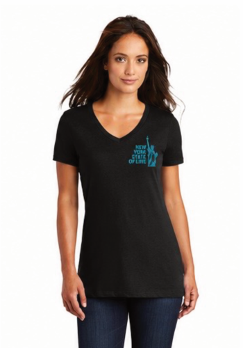 Ladies V-Neck